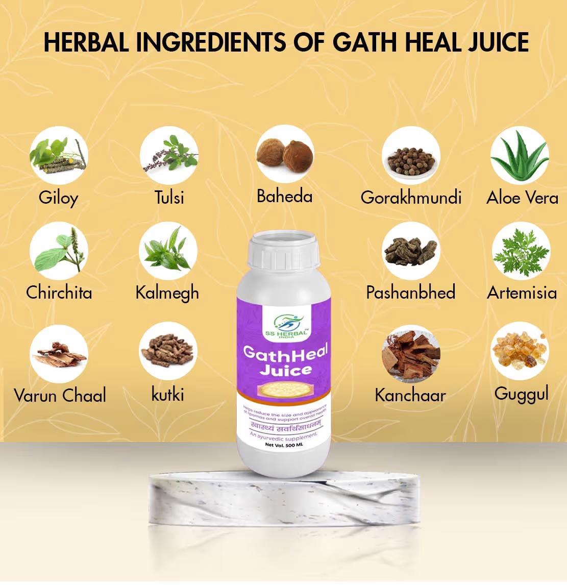 Gath Heal juice herbal ingredients creative.avif